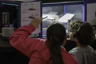 Fête de la science au Musée d'histoire naturelle de Lille