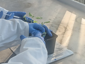 Excur'sciences 2023 - Sciences infusent