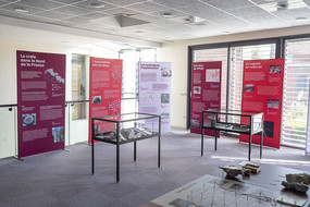 Exposition carrières - Sciences infusent